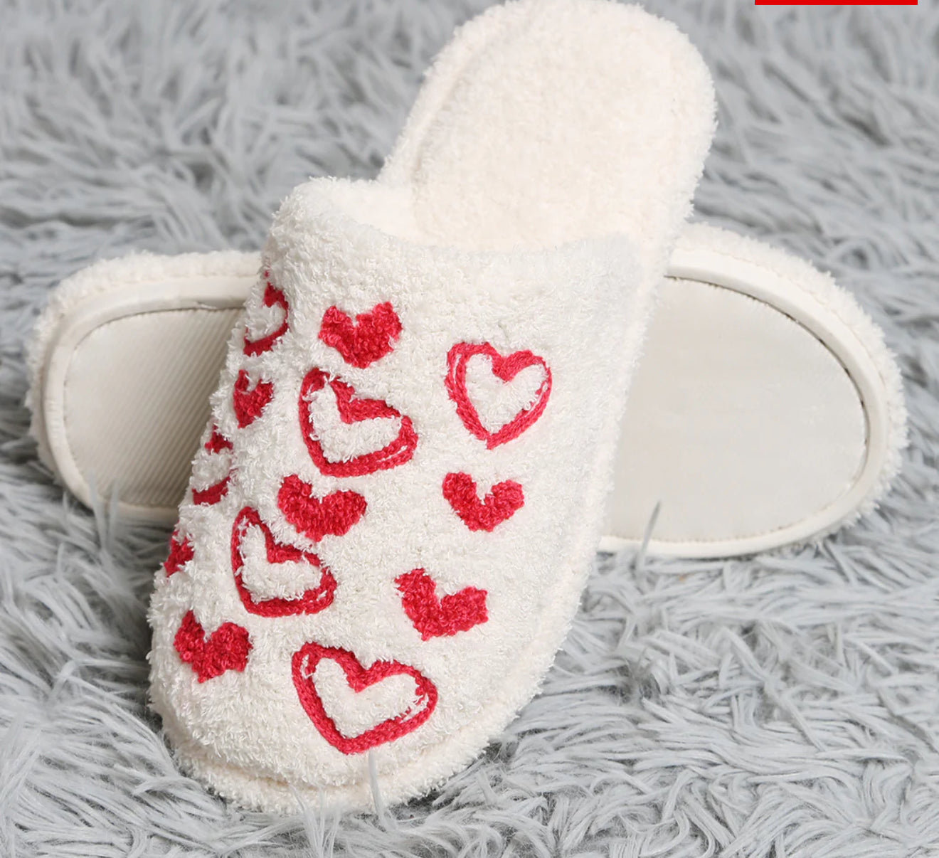 Indoor Slippers